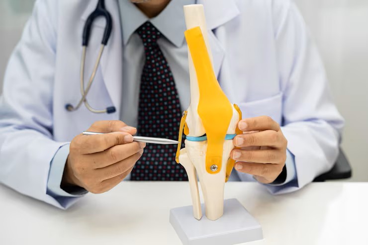Understanding the Knee Joint